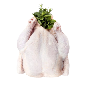 BODY MEAT